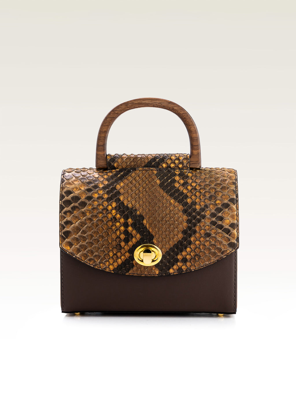 Aurora Indian Brown Python