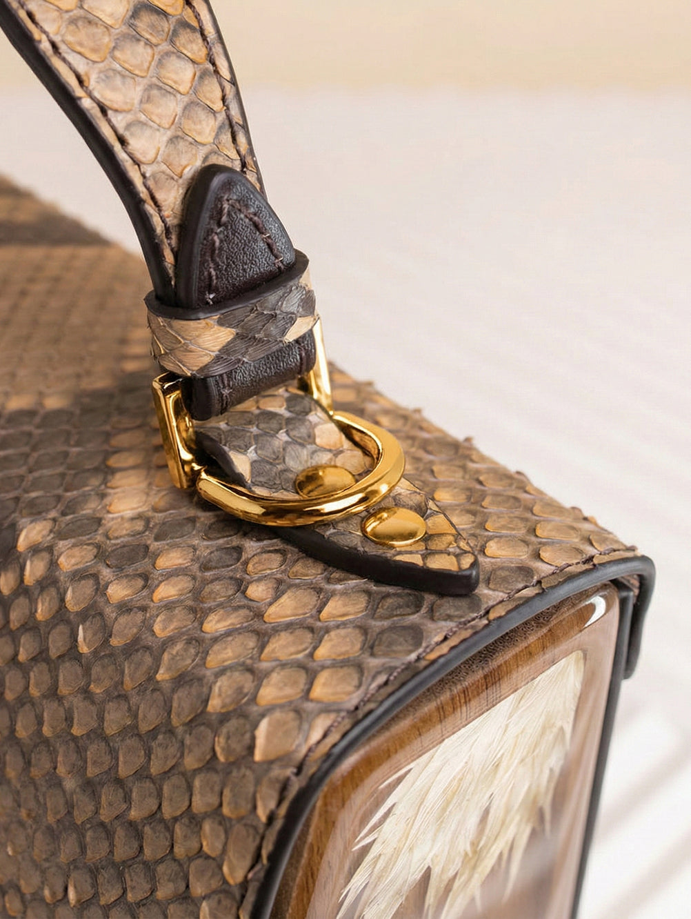 Fjord Indian Brown Python