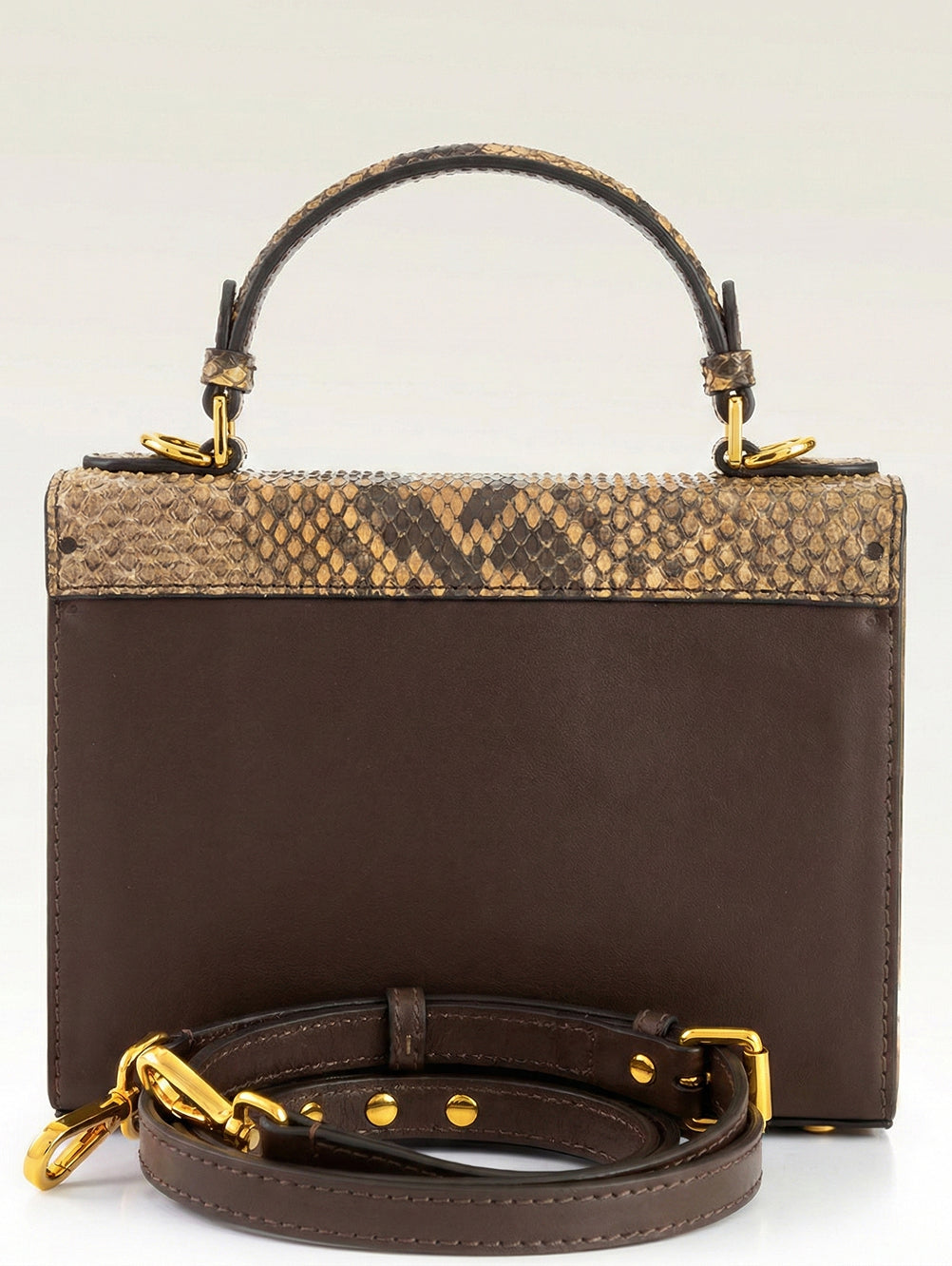 Fjord Indian Brown Python